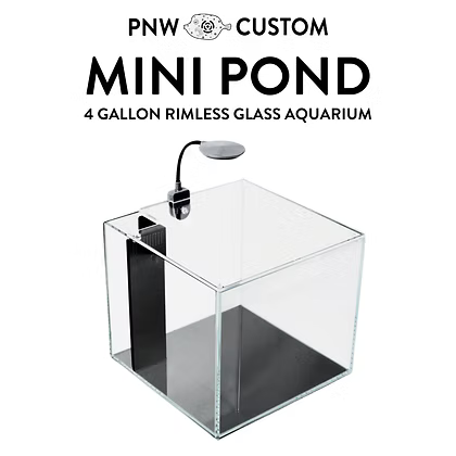 4 Gallon all in one Aquarium