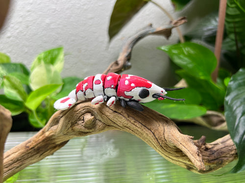 Adopt a 3D Shrimp