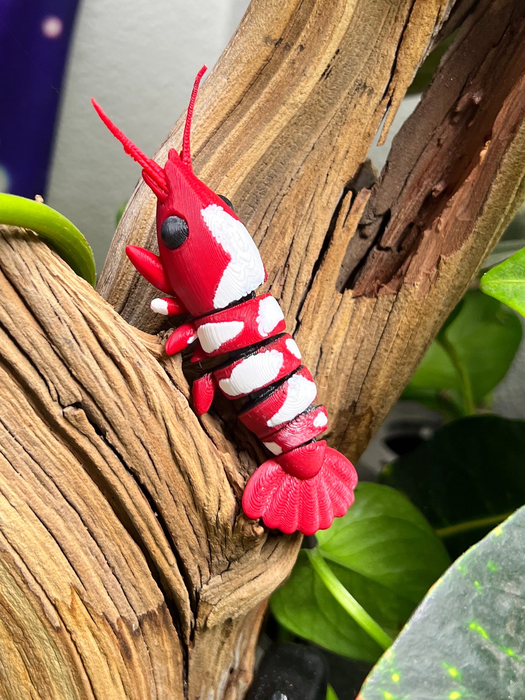 Adopt a 3D Shrimp