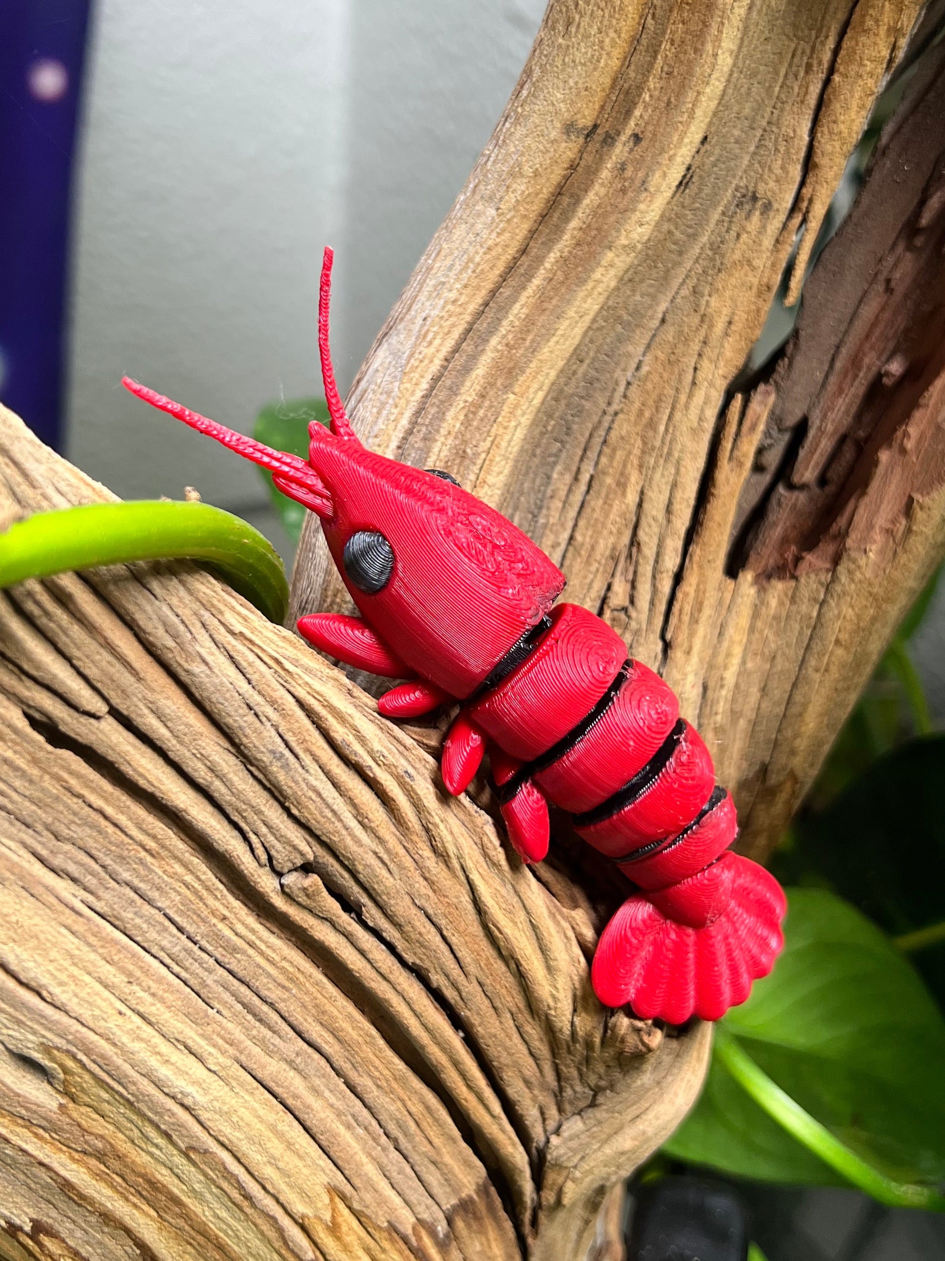 Adopt a 3D Shrimp