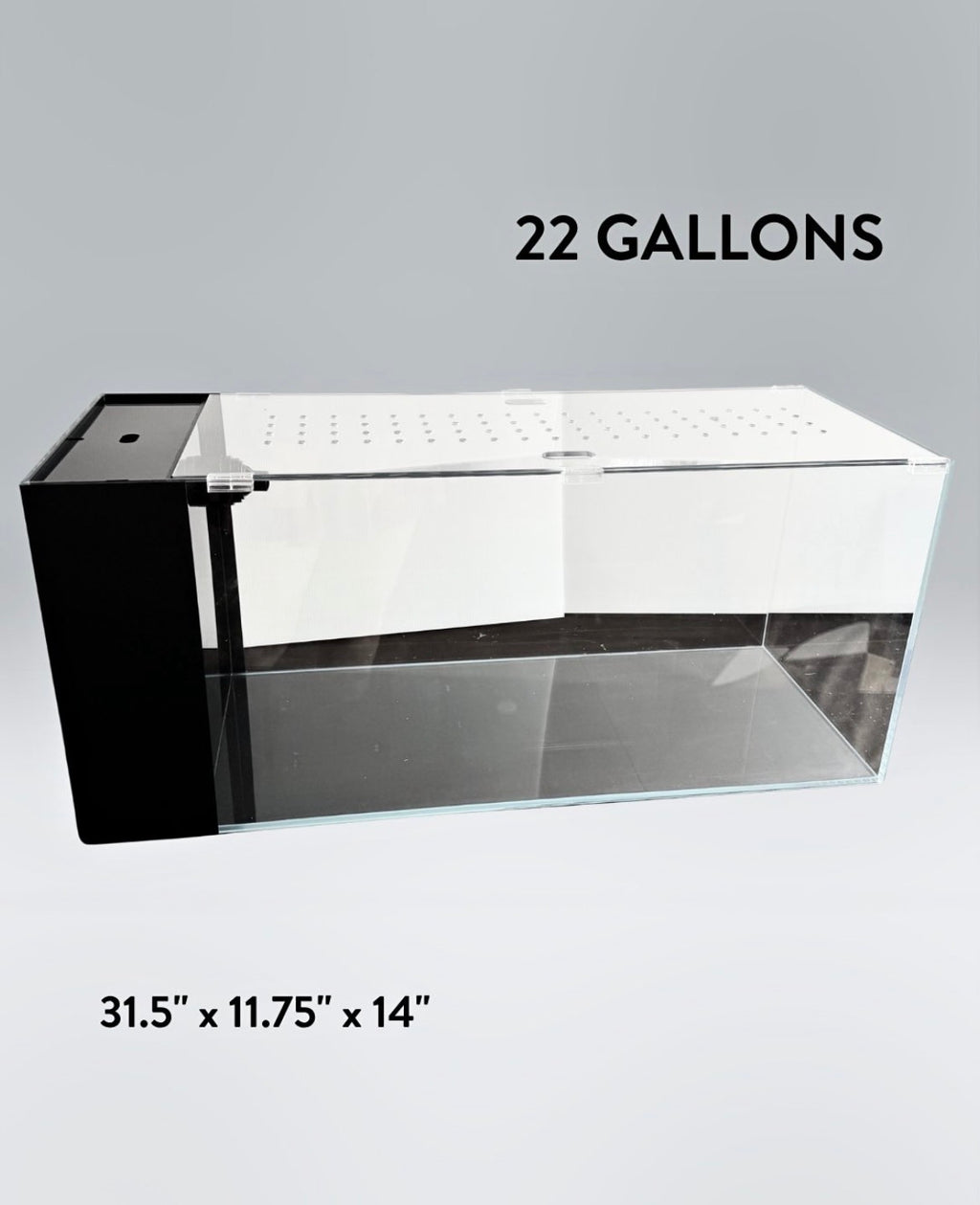 22 Gallon Rimless Glass All-in-One Aquarium