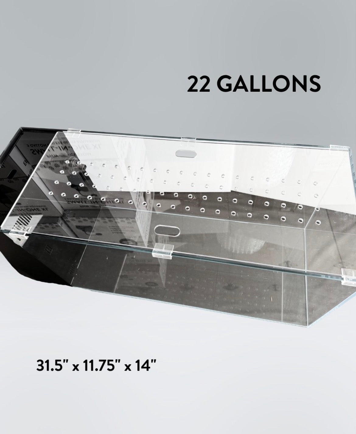 22 Gallon Rimless Glass All-in-One Aquarium
