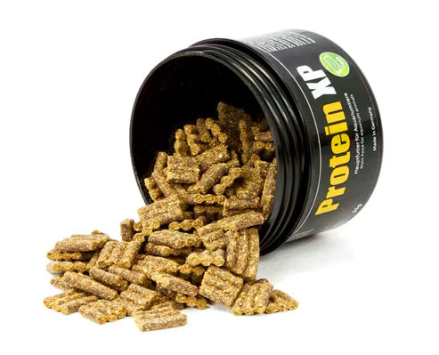 GlasGarten: Protein XP