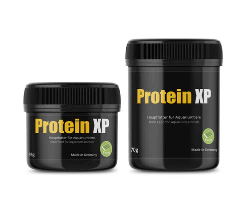 GlasGarten: Protein XP