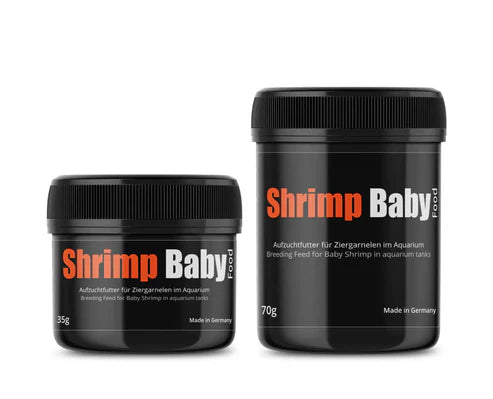GlasGarten: Shrimp Baby
