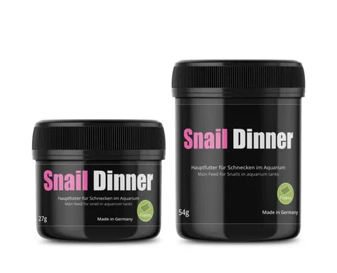 GlasGarten: Snail Dinner