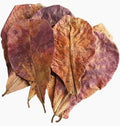 Indian Almond Leaves